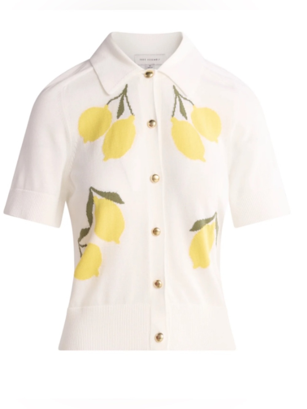 Free Assembly Lemon Print Cardigan Sweater - Picture 2 of 9